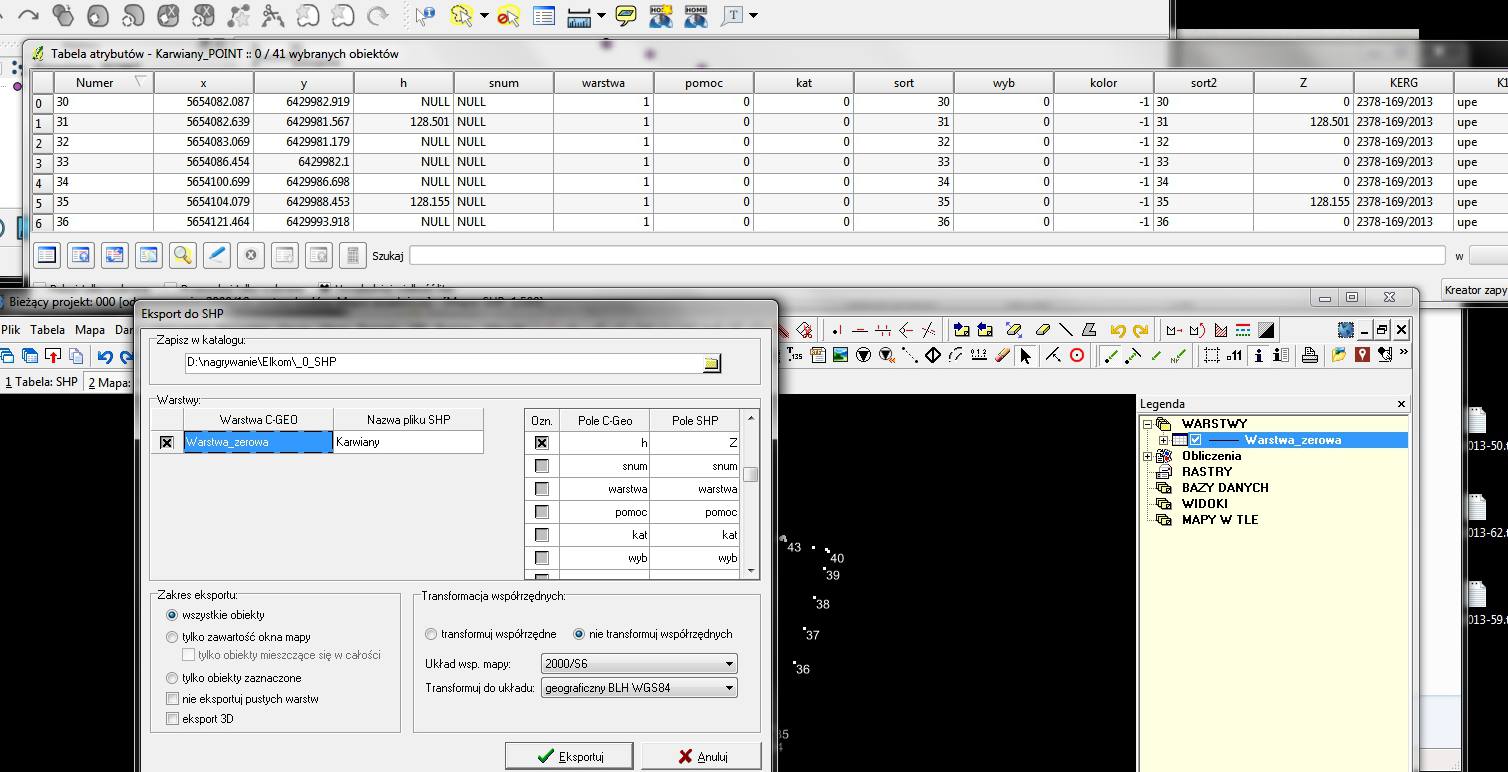 eksport_SHP_C-Geo.jpg