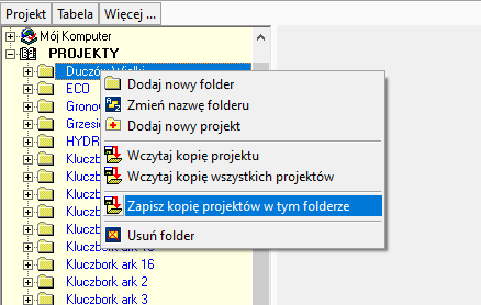 Z folderu tworzę kopię wszystkich projektów