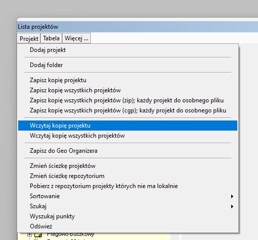 wczytaj kopie projektu.jpg