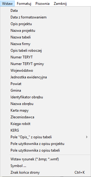 Tworzenie szablonu raportu1.png